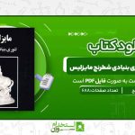 مایزلیس،-تئوری-بنیادی-شطرنج-مایزلیس.jpg